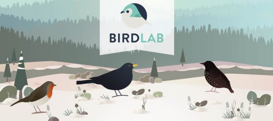 BirdLab, 6ème saison : c'est parti !