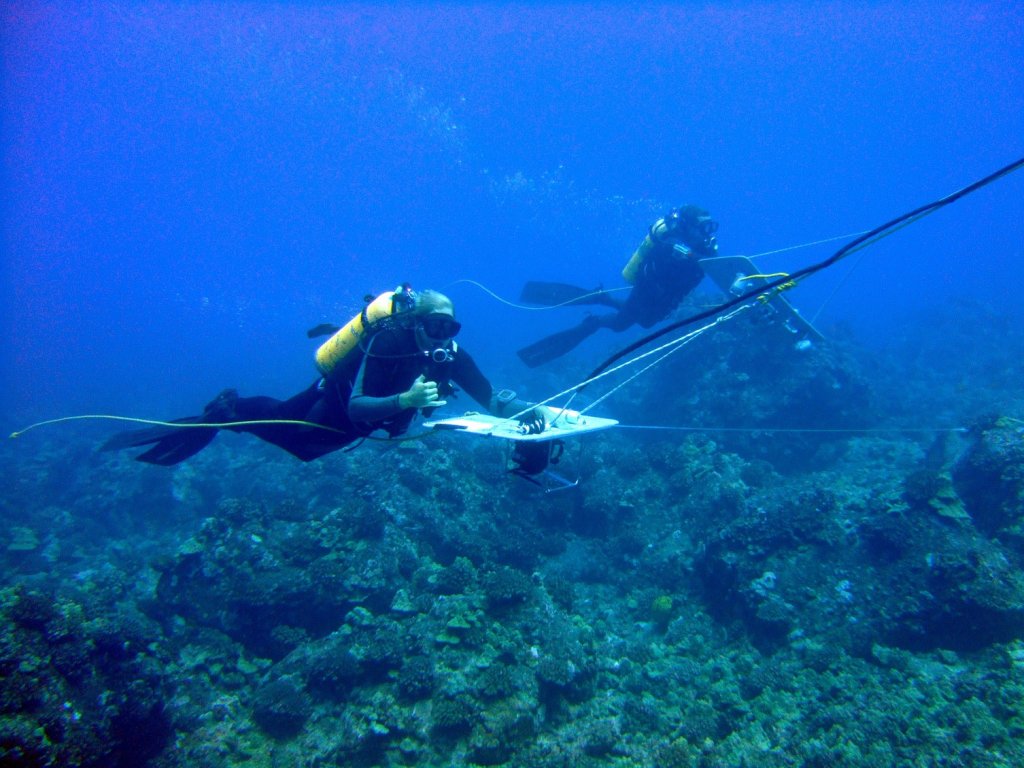 Etude de la chasse sous-marine et suivi d'espèces - Marepolis