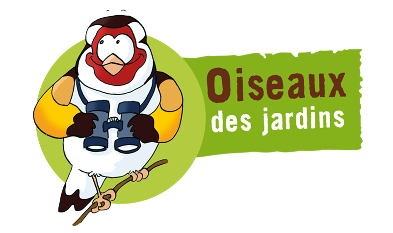 Oiseaux des Jardins