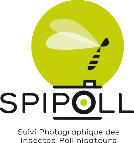 SPIPOLL